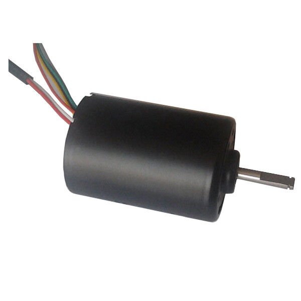 DBL4260 30W 高トルク直流ブラシレスモーター 水ポンプ 24 ボルト BLDCモーター